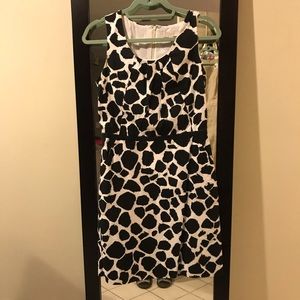 Adorable Animal Print Work Dress